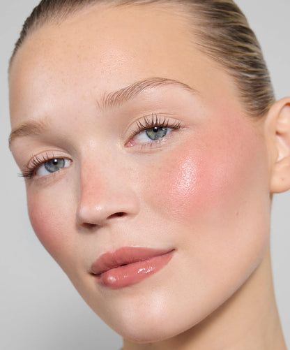 Duo Brush + Blush Set